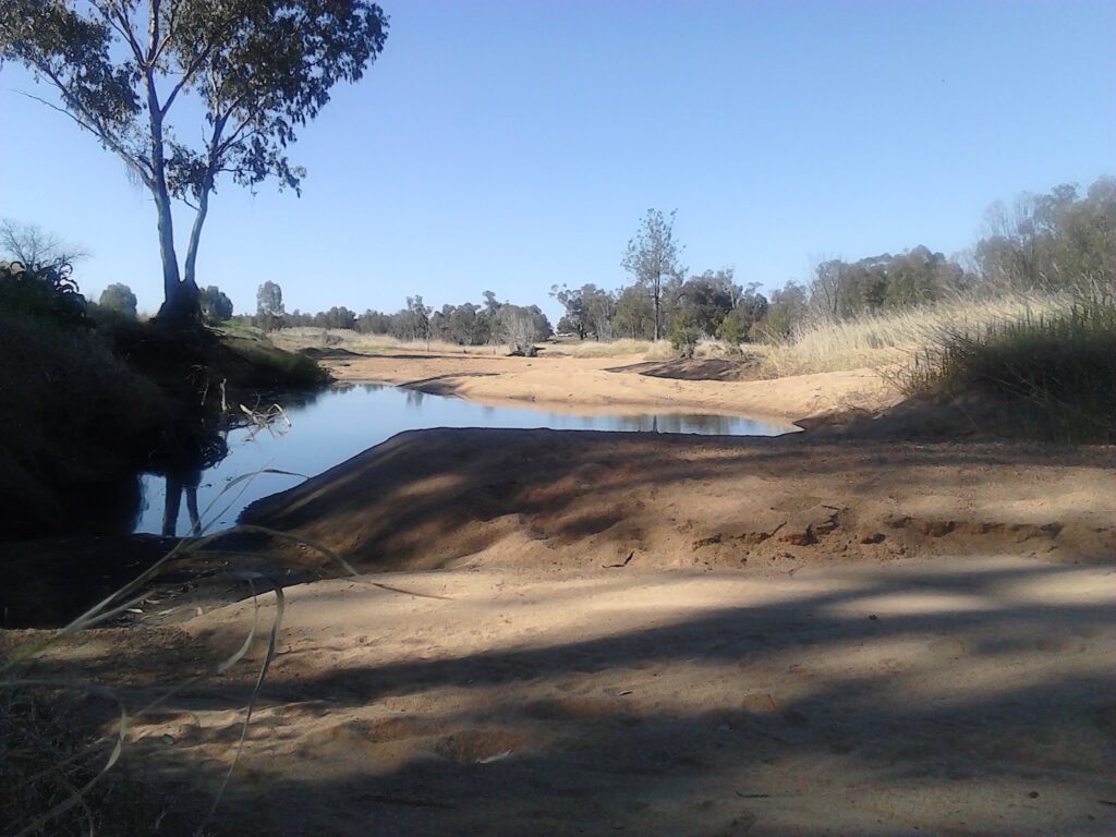 An image of the Australian bush, featuring a water hole, a tree, and the sandy banks of a river.